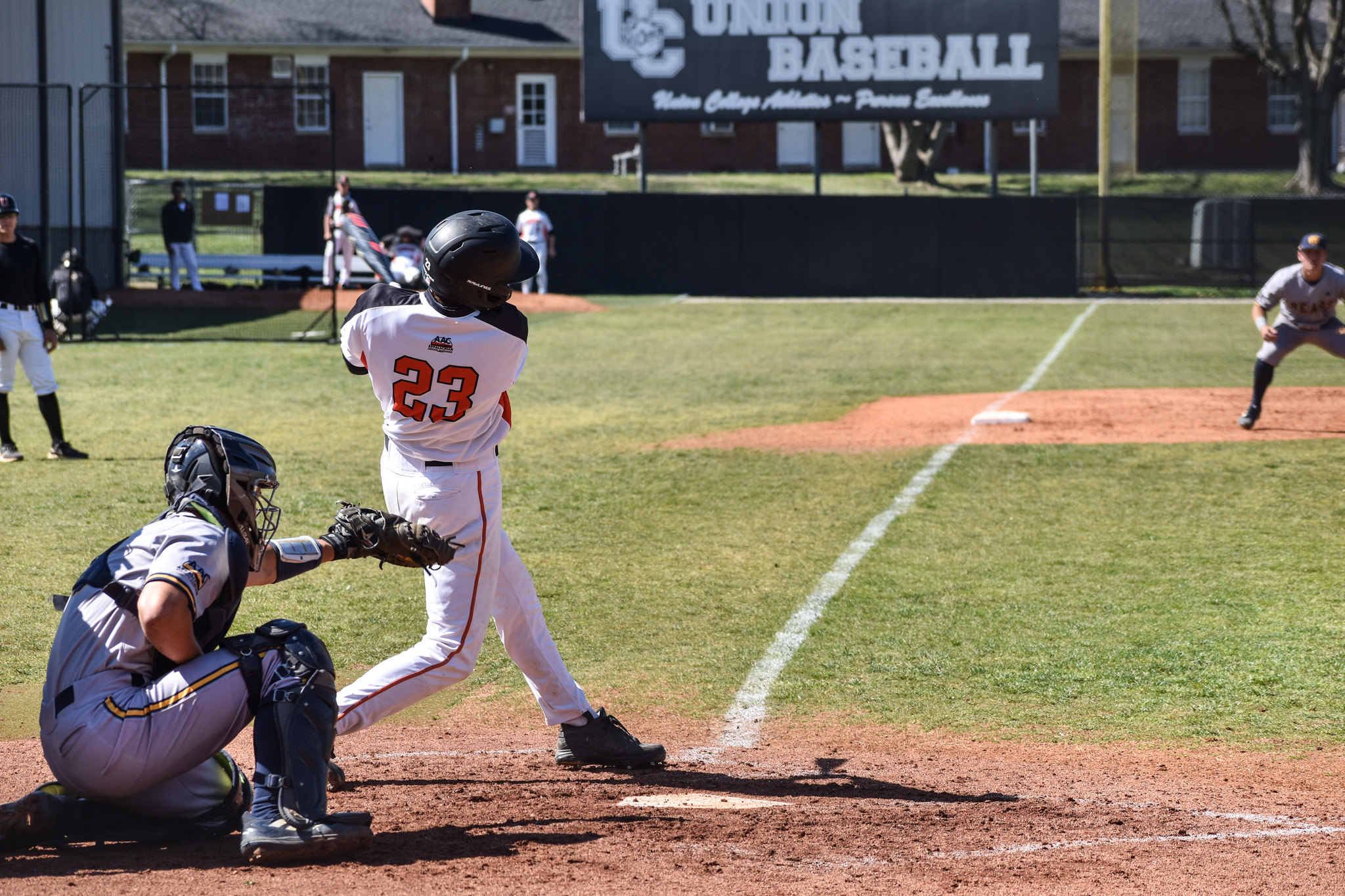 Stegman named AAC Baseball Player of the Week