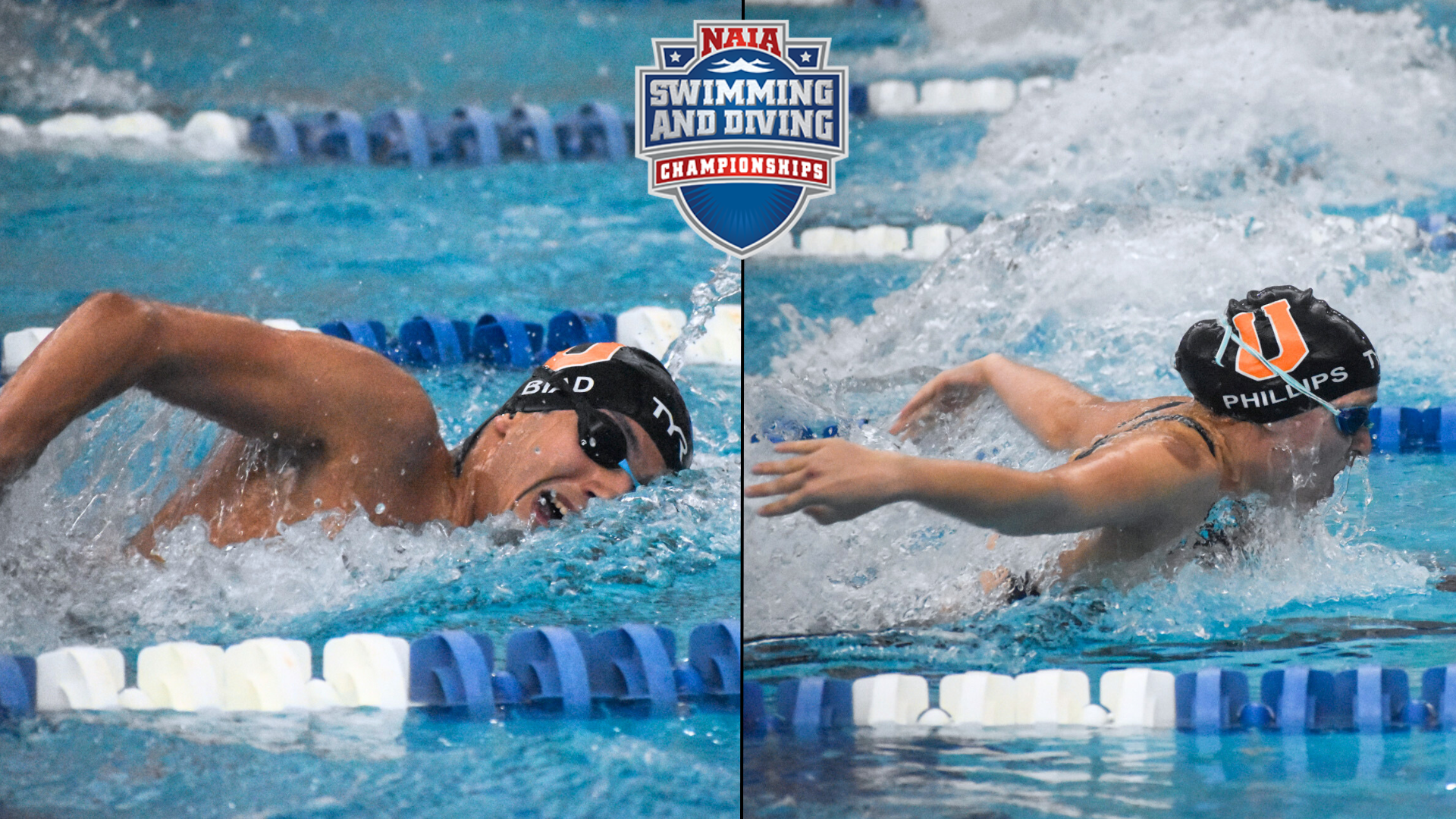 Union swim is set to send 11 to NAIA Swim Nationals