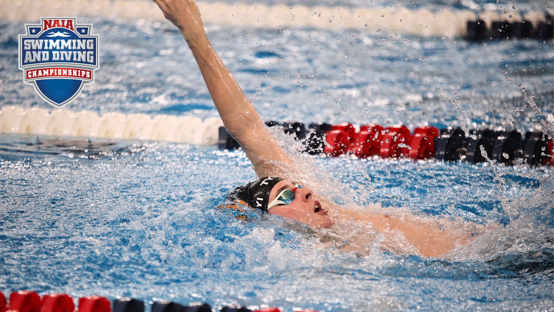 Union men&rsquo;s swimming etches their name in history at NAIA Nationals